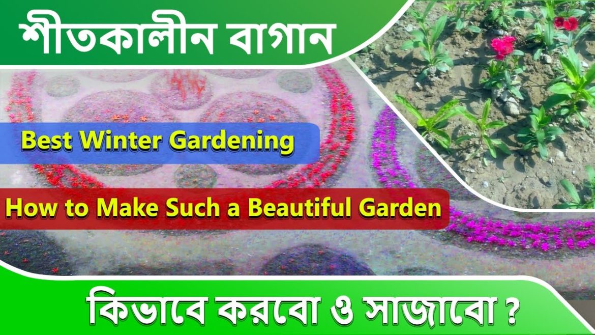 Gardening Tips : Decoration With Winter Flowers | How to Make Such a Beautiful Garden | Part-3 Gardening Tips : Decoration With Winter Flowers | How to Make Such a Beautiful Garden | Part-3