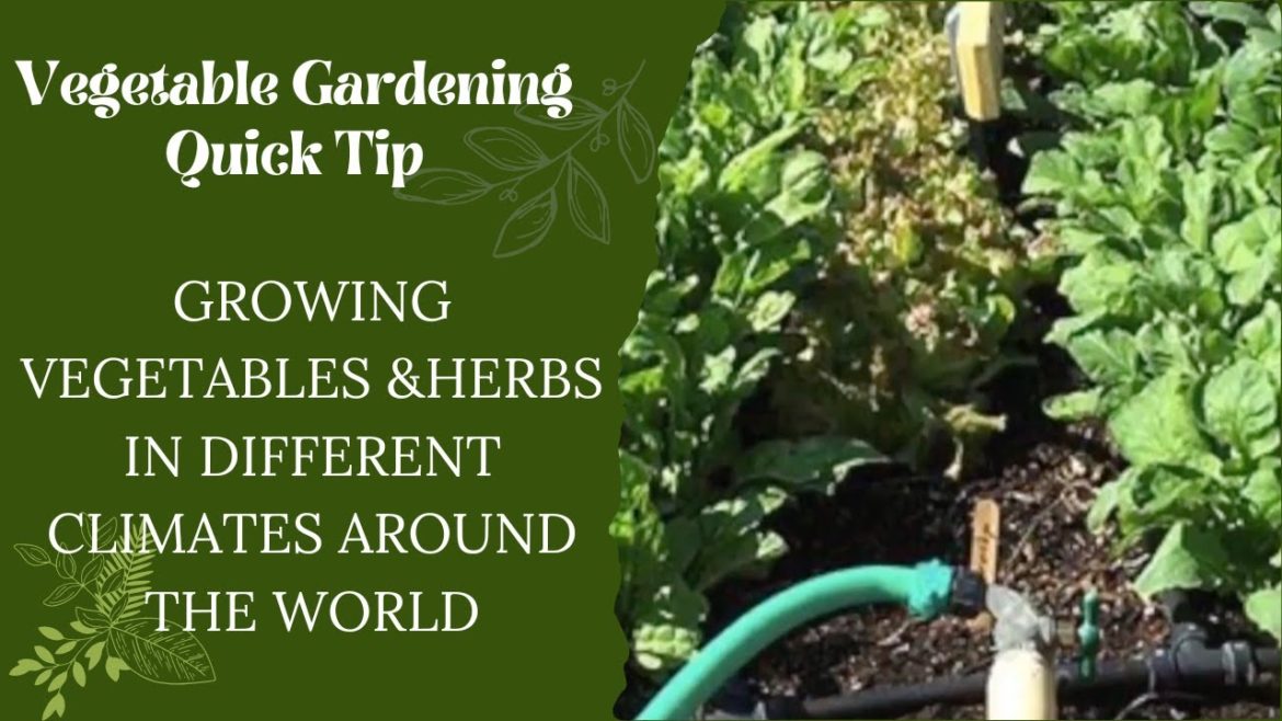 Quick Gardening Tip: Growing Vegetables &Herbs in Different Climates Around the World