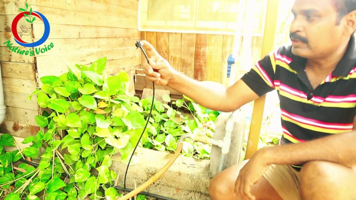 Terrace Gardening | How To install A Drip Irrigation System | Sridhar Reddy Terrace Gardening | How To install A Drip Irrigation System | Sridhar Reddy