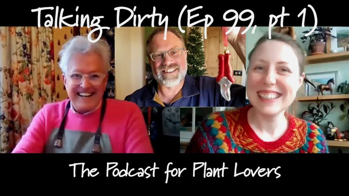 Christmas Gifts for Gardeners and Late Season Interest with Dan Cooper (Talking Dirty Ep 99, part 1) Christmas Gifts for Gardeners and Late Season Interest with Dan Cooper (Talking Dirty Ep 99, part 1)