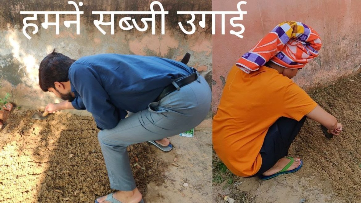 हमने घर में सब्जी उगाई 🍀🍀 || Vegetable Gardening || Sapna-Harish || Jivan Journey Vlogs