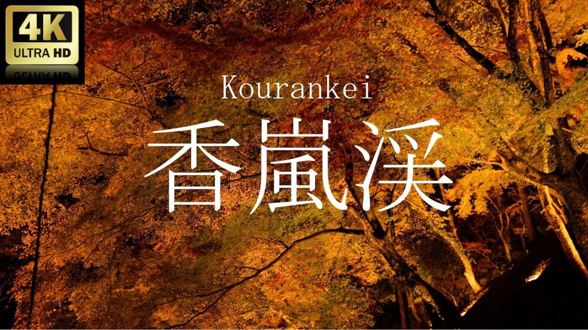 Autumn in Japan is an inspiring time. Beautiful images will make you feel like you've been there!香嵐渓 Autumn in Japan is an inspiring time. Beautiful images will make you feel like you've been there!香嵐渓