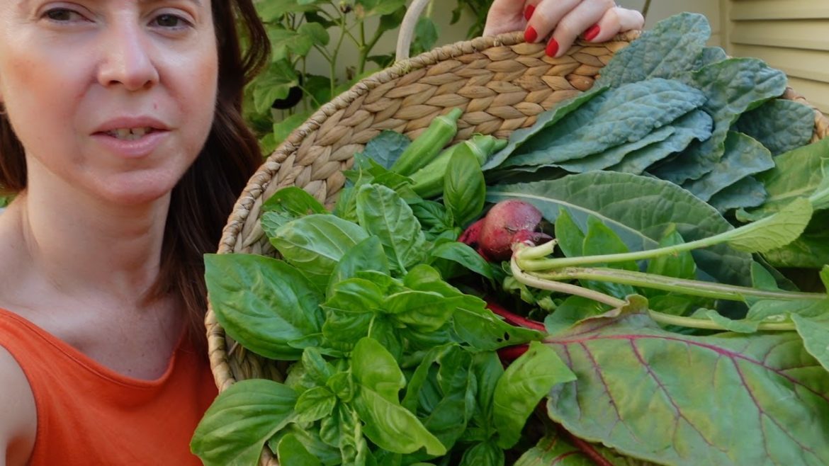Dubai Garden to Table Breakfast