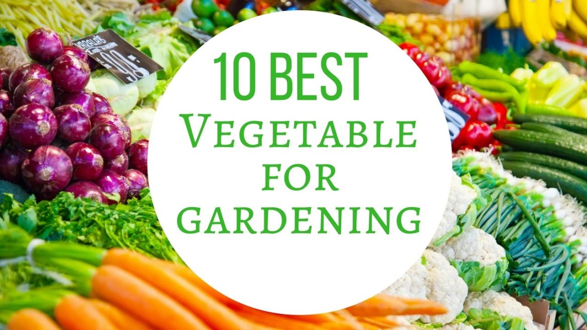 Growing Vegetables In Pots For Beginners – 10 Best Vegetables For Container Gardening Growing Vegetables In Pots For Beginners - 10 Best Vegetables For Container Gardening