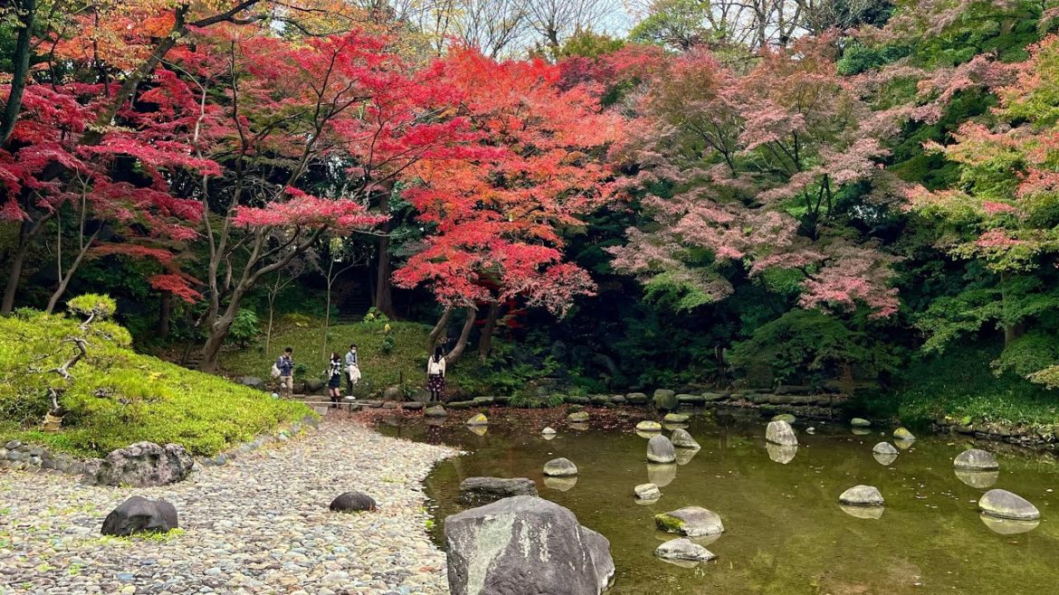 Tokyo Live Seasonal Colors