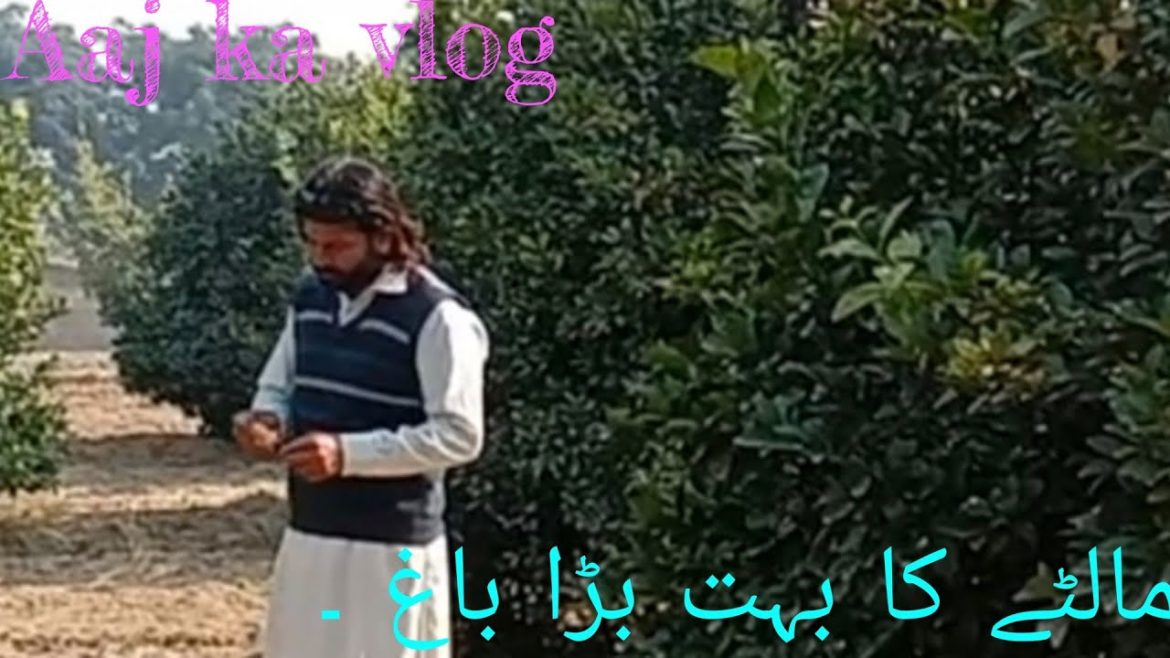 Uff itna bra baag || Jaaan Vlog Uff itna bra baag || Jaaan Vlog