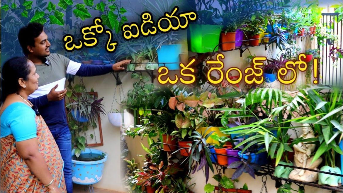 గోడని కూడా వదలకుండా ఎంత మంచి ideas, Janaki's Ornamental Garden #gardening #orggardener