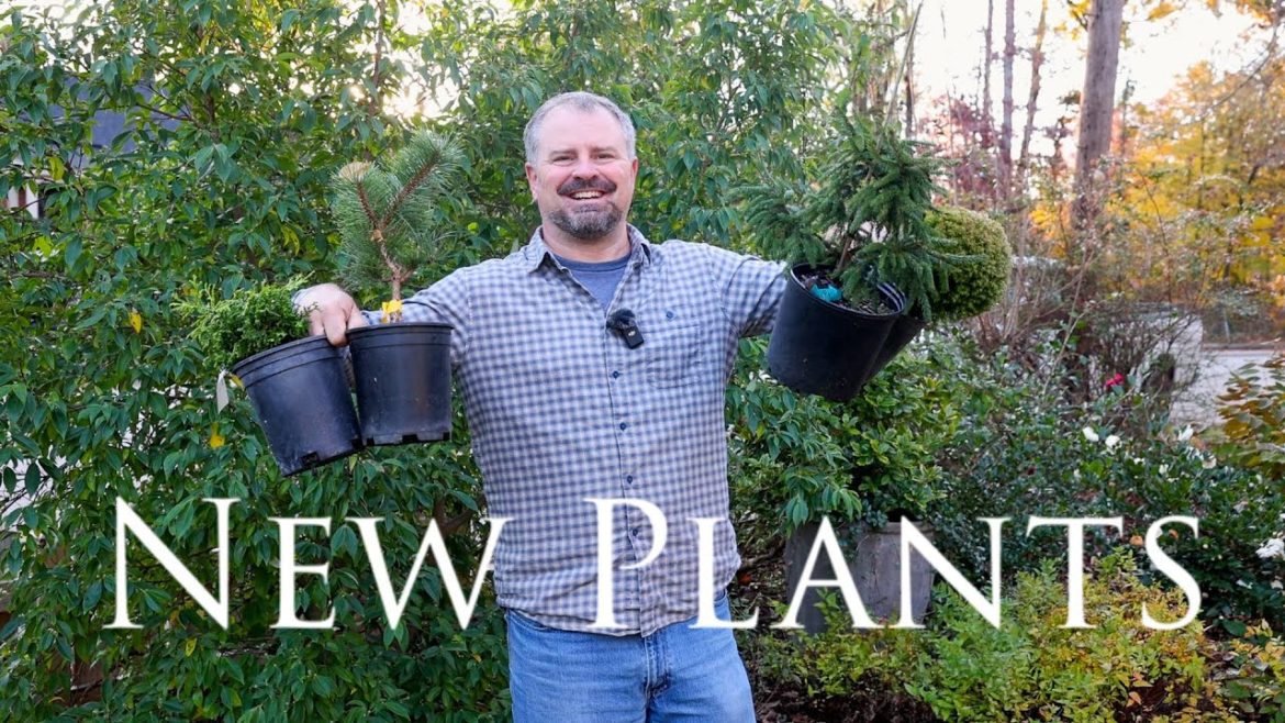 Awesome New Plants from Travels