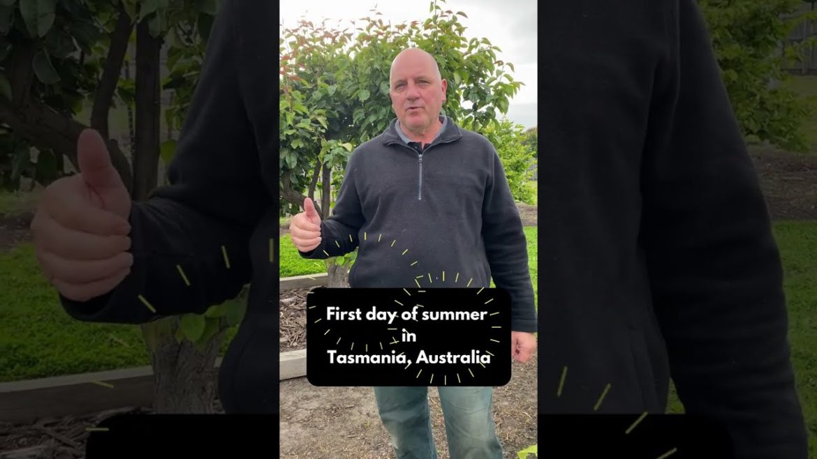 Climate Change Impacting on Vegetable Growing: Homestead Gardening #shorts Climate Change Impacting on Vegetable Growing: Homestead Gardening #shorts