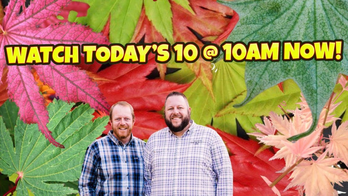 Tuesday's Multidimensional 10@10 | November 29, 2022 Tuesday's Multidimensional 10@10 | November 29, 2022