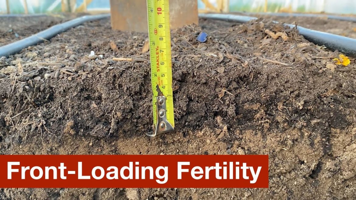 Front-Loading Fertility