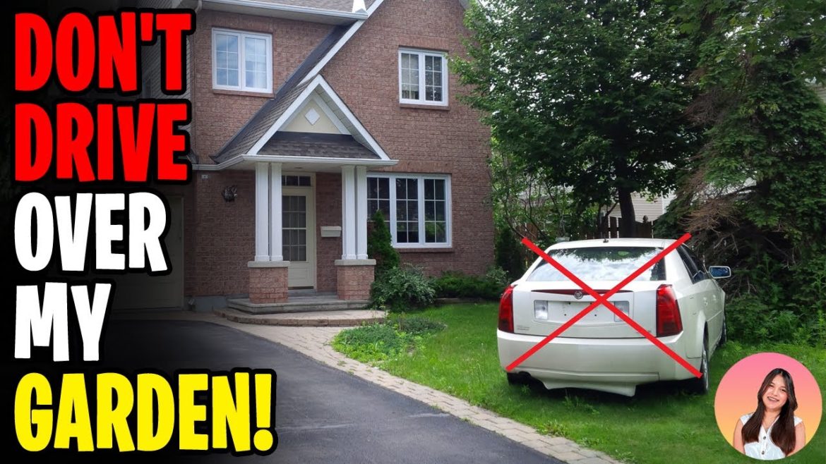 Neighbor Repeatedly Drives Over My Lawn, Ruins My Garden!I Destroy His TIRES!