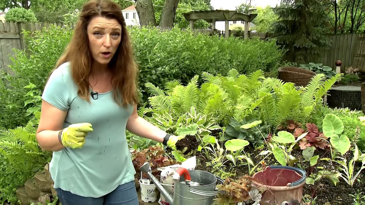 Metallic Silver Heuchera in a Zinc Container Garden Design