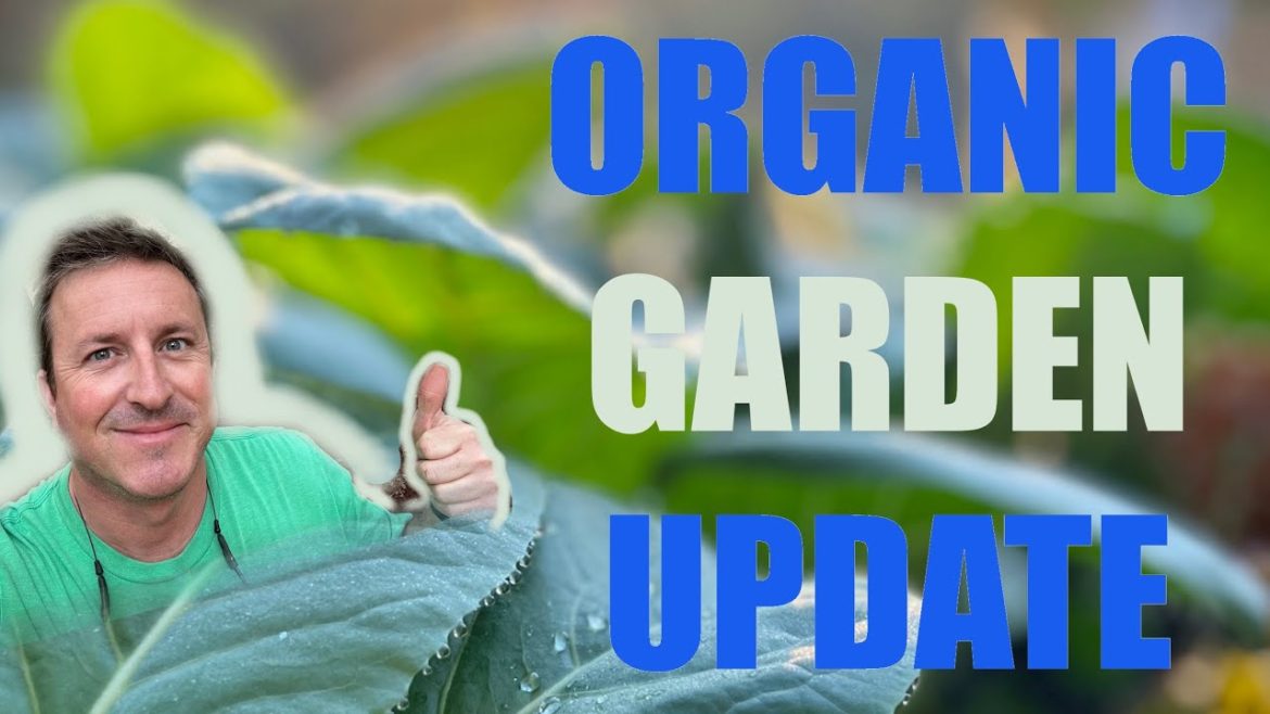 Organic Garden Update + BONUS footage of a special nursery!! 🌲🌳🌸