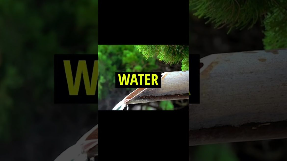 Japanese Bamboo Water Fountain: 8 Hours To Help You Sleep, Relax, & Restore Japanese Bamboo Water Fountain: 8 Hours To Help You Sleep, Relax, & Restore