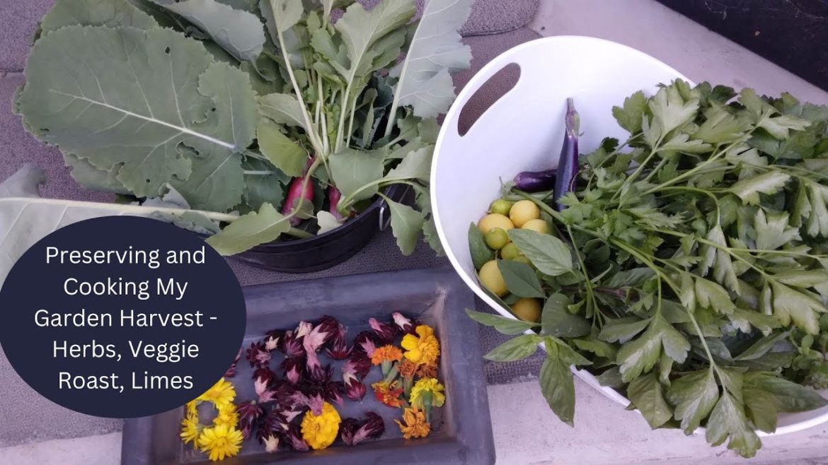 Preserving and Cooking My Garden Harvest - Herbs, Veggie Roast, Limes