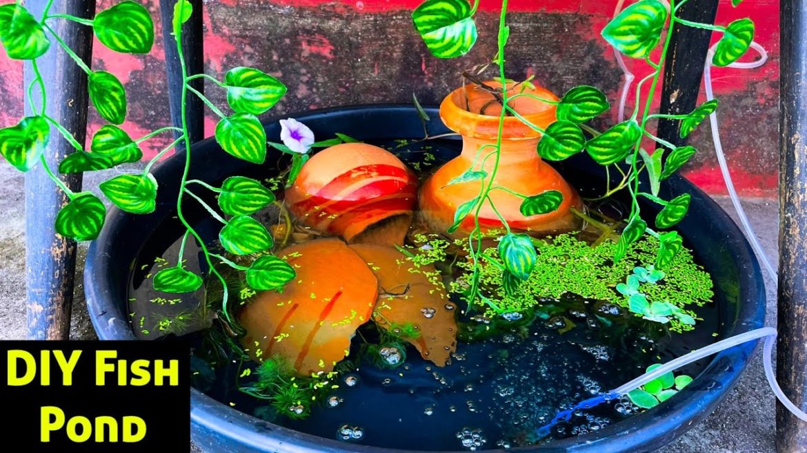 DIY Fish Pond | Outdoor Fish Pond Setup | Fish Pond New Design | Fish Pond Ideas | Molly Pond