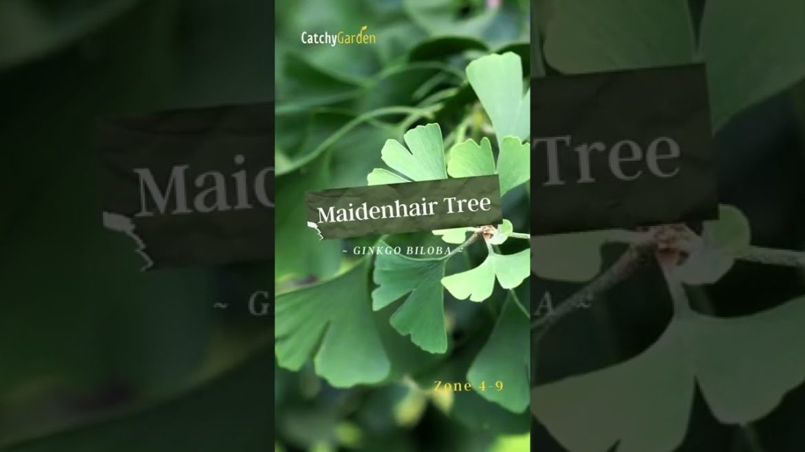 4 Minutes To Create a Beautiful Autumn Garden 🍁🌸 // #short #shorts