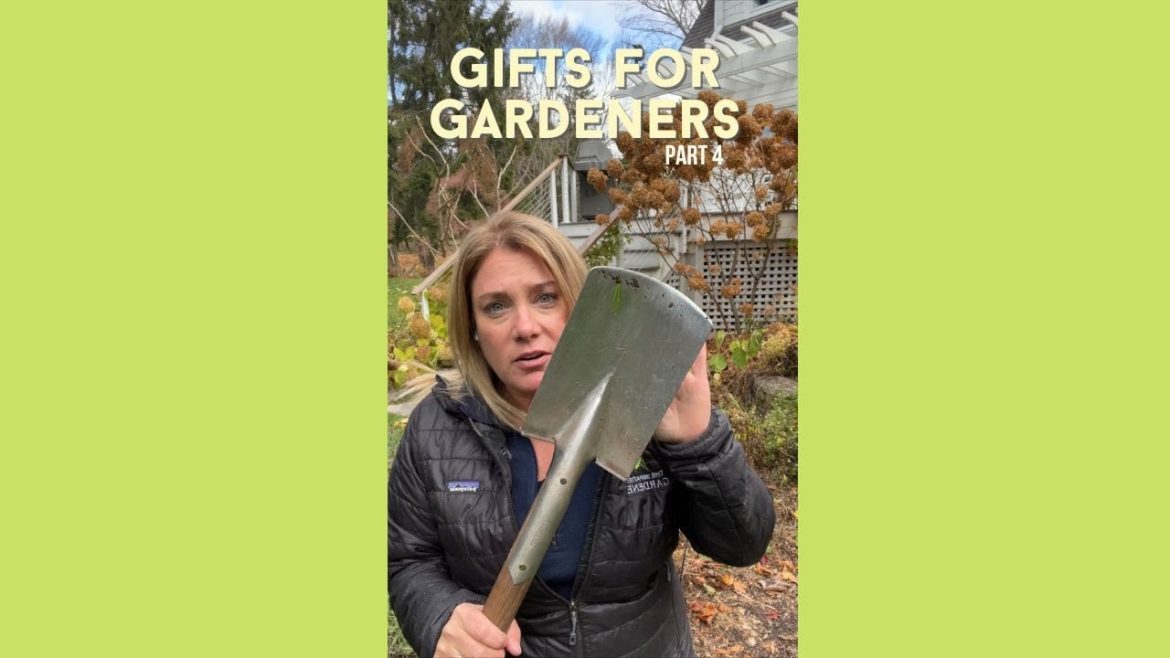 Garden tools that make great gifts ||| Part 4 (the best spade) Garden tools that make great gifts ||| Part 4 (the best spade)
