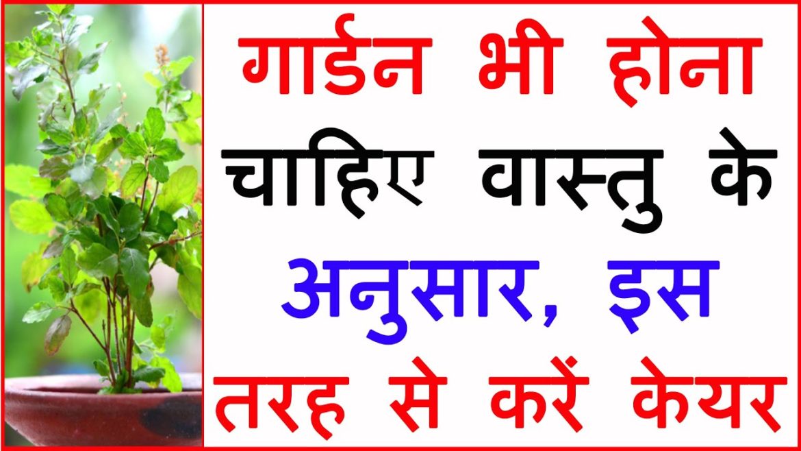 Vastu Tips For Garden | गार्डन भी होना चाहिए वास्तु के अनुसार, इस तरह से करें केयर