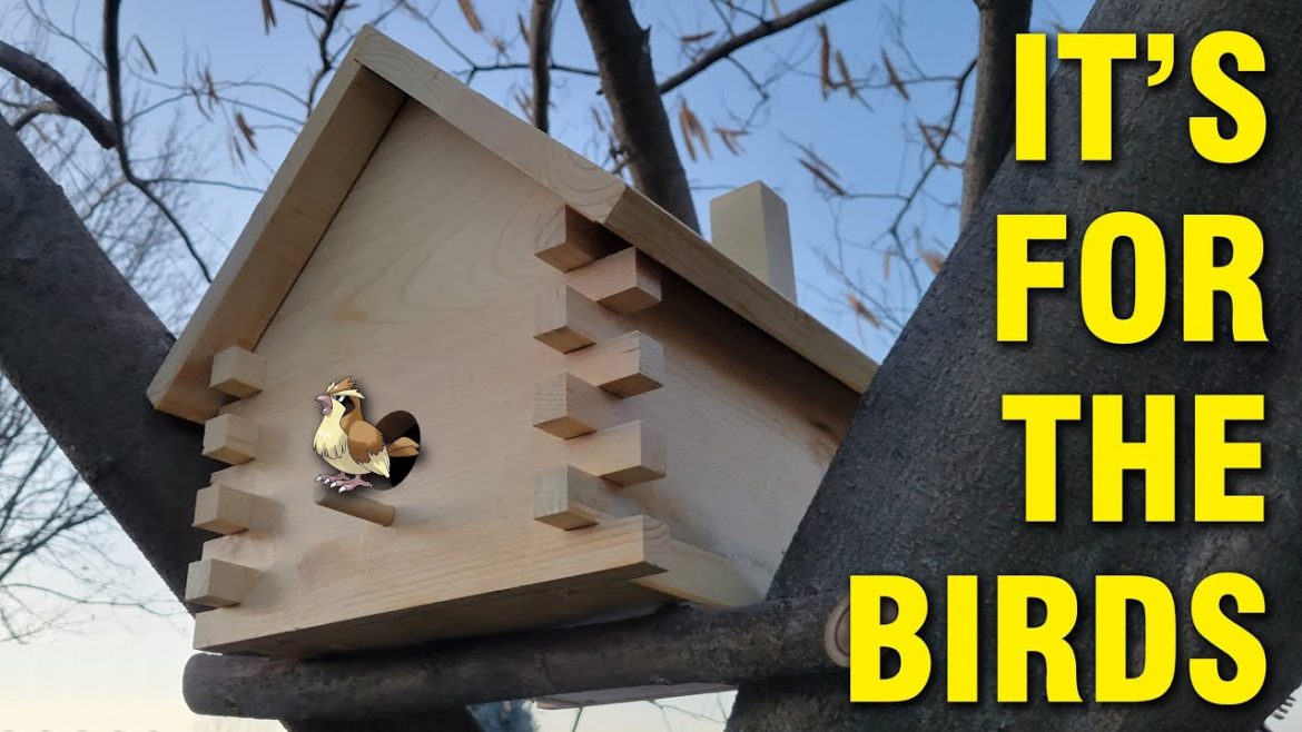 A Birdhouse That Kids Can Build – Free Plans! A Birdhouse That Kids Can Build - Free Plans!