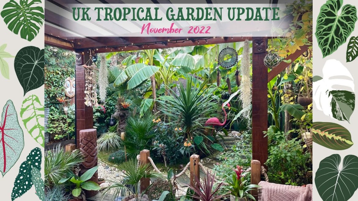 What MY UK Tropical Garden Looks Like Late November ❄️🌴🌺🍁🐚☀️