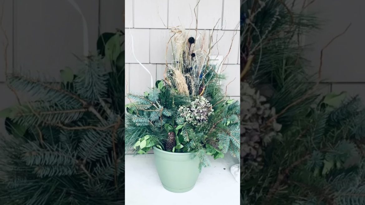 A Beautiful Way to Decorate the Garden for the Holidays A Beautiful Way to Decorate the Garden for the Holidays