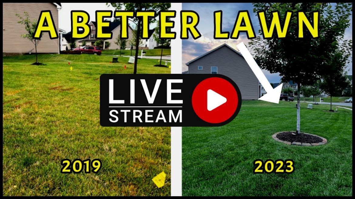 Live Q&A – Vid1 – Road To A Better Lawn Live Q&A - Vid1 - Road To A Better Lawn