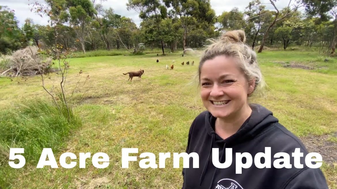 5 Acre Farm Update // Walk Around The Property // Checking The Spring Garden // Flood update