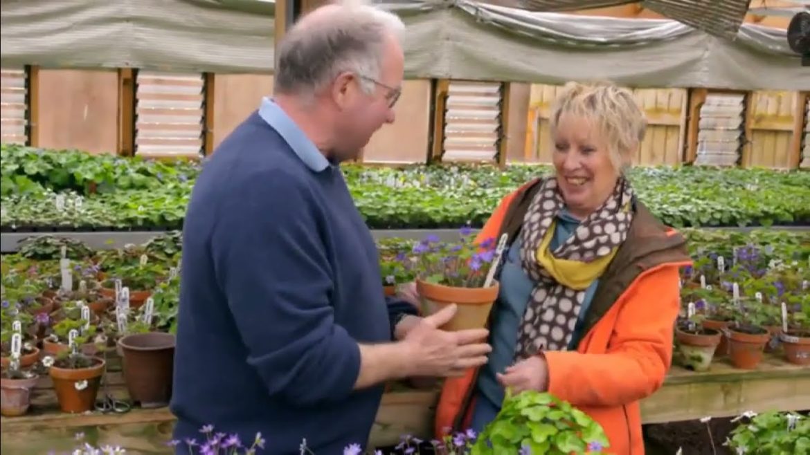 Great British Gardens with Carol Klein🍀Series 1 Episode 2