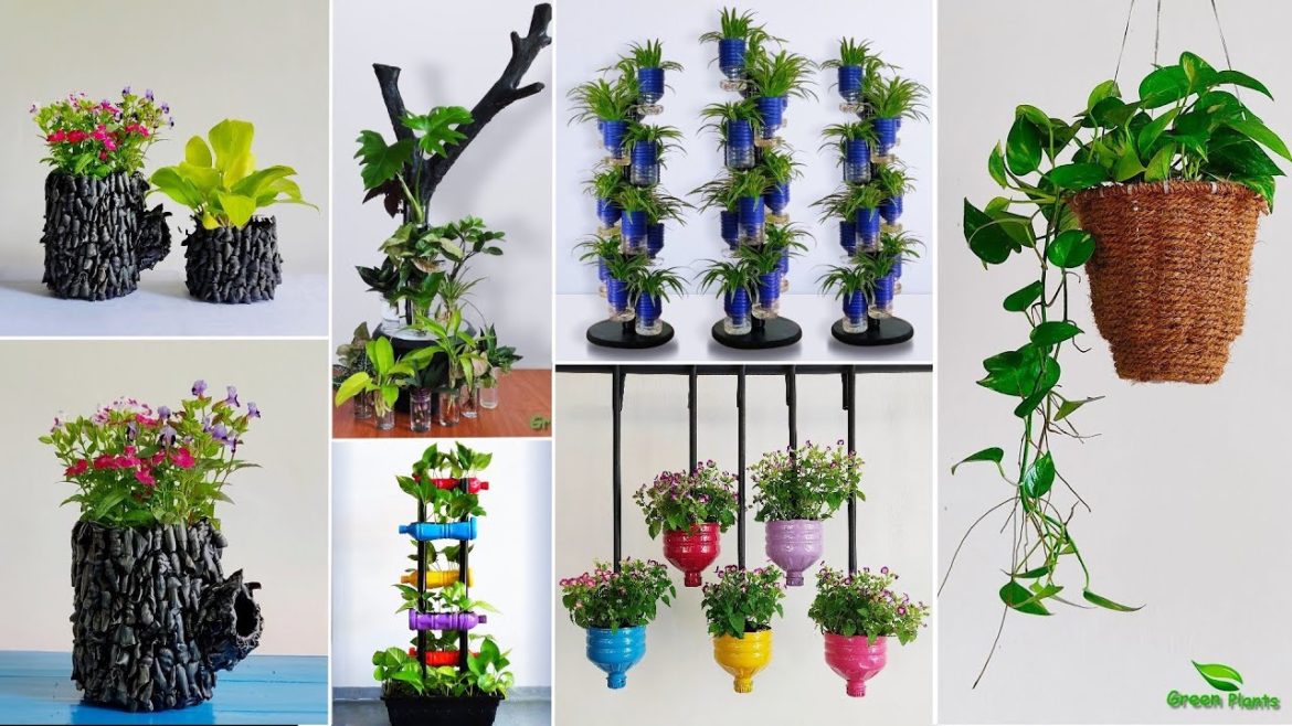 5 Recycle Plastic Bottles Self Watering & Planter Ideas | Plastic Bottles Garden Ideas//GREEN PLANTS 5 Recycle Plastic Bottles Self Watering & Planter Ideas | Plastic Bottles Garden Ideas//GREEN PLANTS
