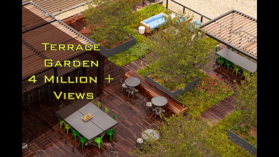 Rooftop Terrace Garden Transformation | Terrace Makeover | Small garden design
