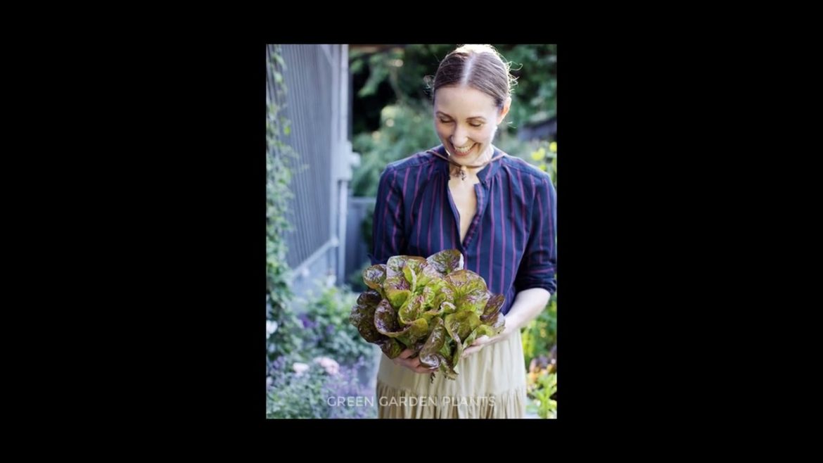 100 Outdoor Design Ideas From House and Home