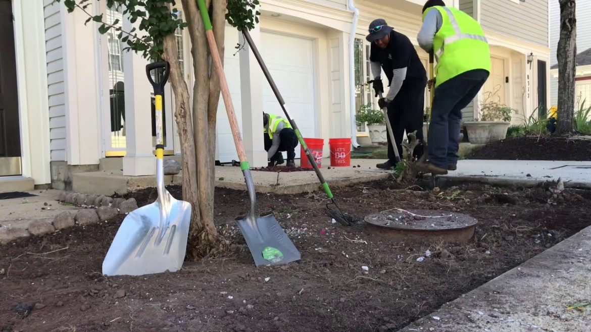 Landscape Rock Installation and Cleanup 7.19.18
