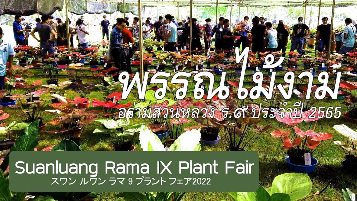 【4K】งานพรรณไม้งาม อร่ามสวนหลวง ร.๙ 2565 Suanluang Rama IX Plant Fair 2022 スワンルアン ラマ 9 世プラント フェア