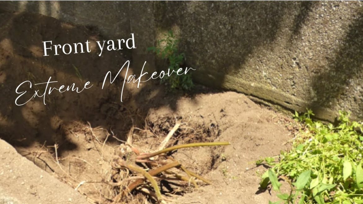 Frontyard Extreme Makeover