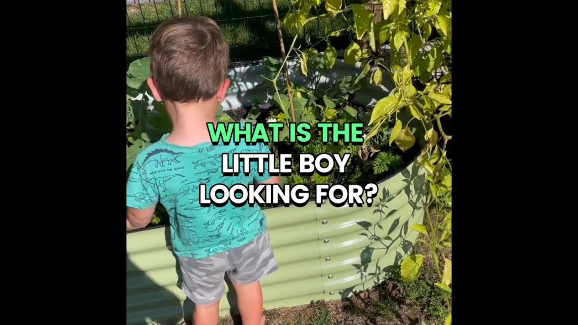 “Why does the little boy stay in front of his mother's garden bed?” "Why does the little boy stay in front of his mother's garden bed?"