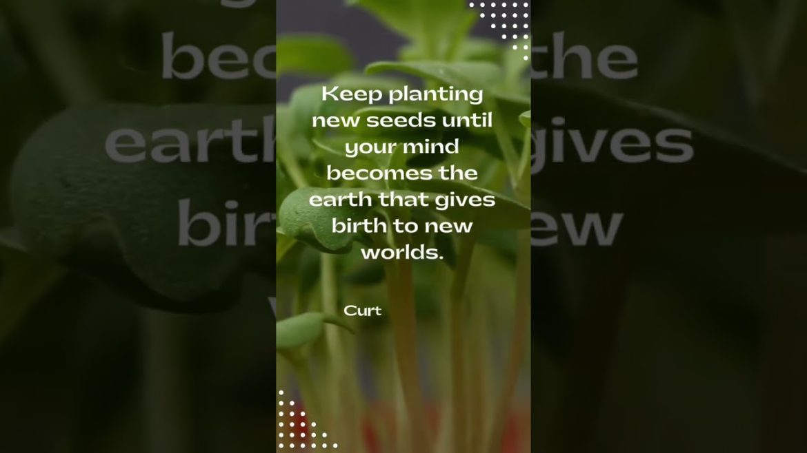 Keep PLANTING your seeds! #shorts #gardening #healthyliving Keep PLANTING your seeds! #shorts #gardening #healthyliving