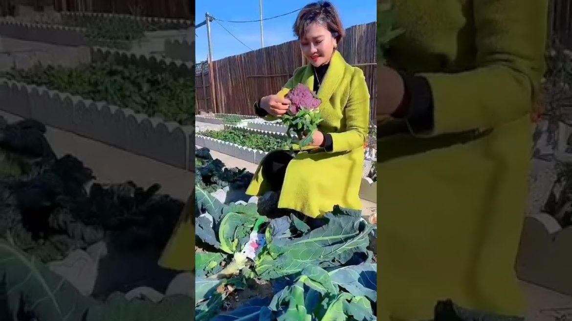 Beautiful Nature with Rural Life (P38) #shorts