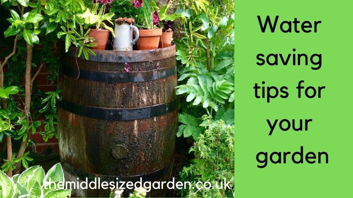 Easy, effective water saving tips for your garden Easy, effective water saving tips for your garden