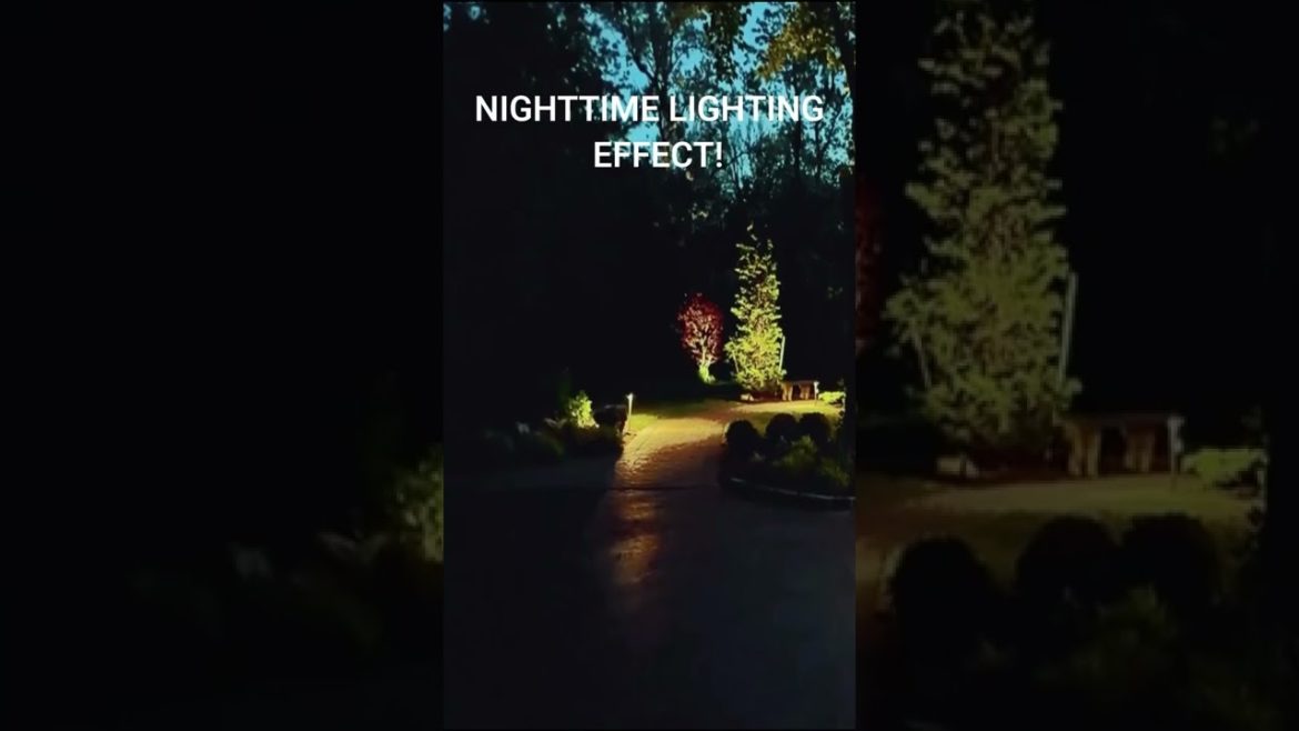 Perfect idea for Outdoor lighting - Landscape Lighting