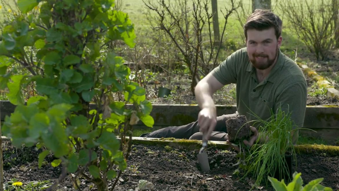 🔴 Gardeners' World 2022 | 🍀 7 Edible Crops Perfect for Growing in Shady Corners