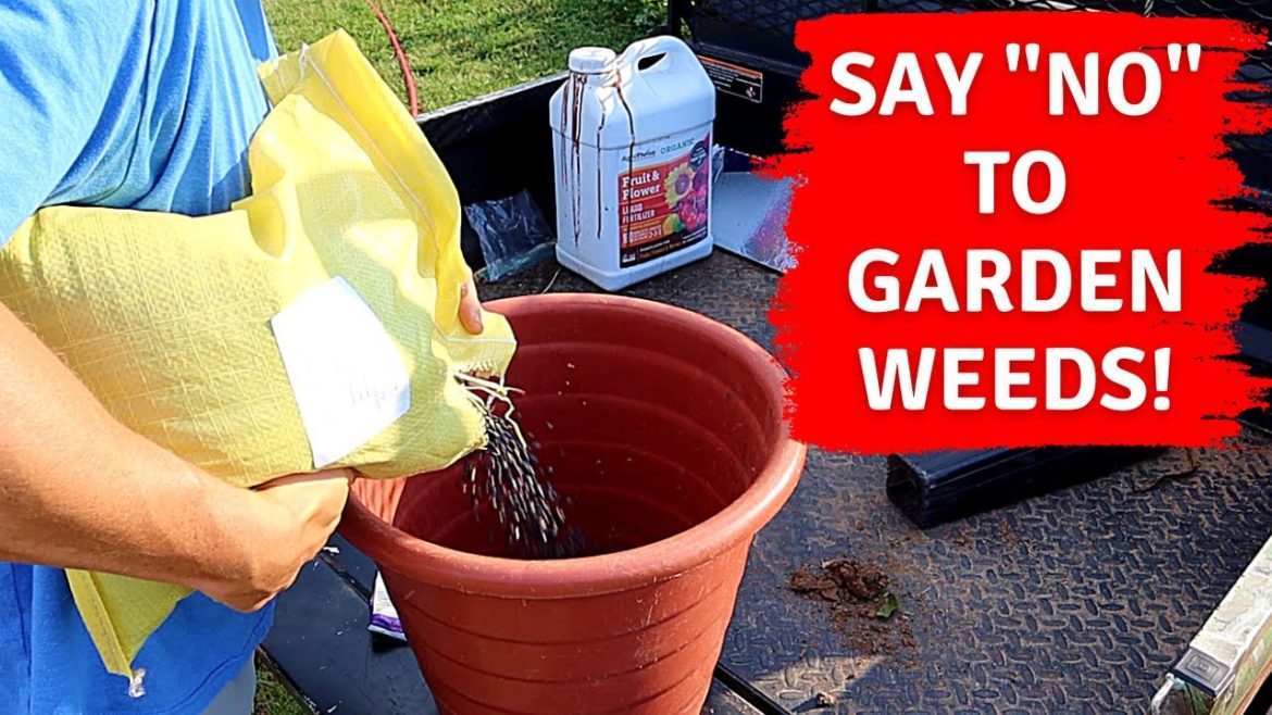 Backyard Garden Overgrown with Weeds? | TRY THIS!