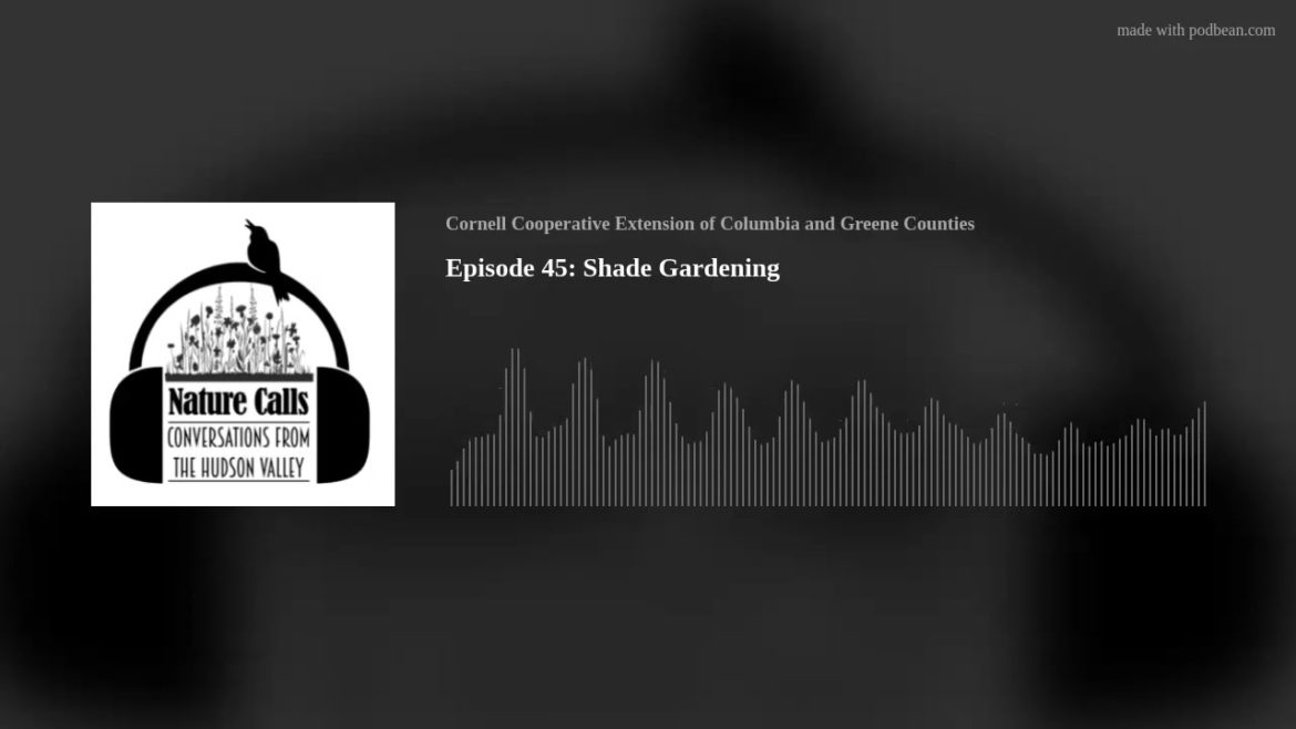 Episode 45: Shade Gardening