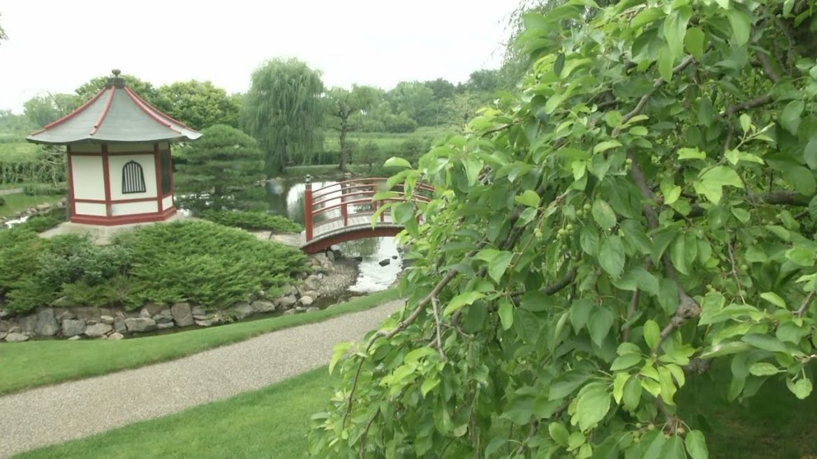 Japanese Garden at Normandale