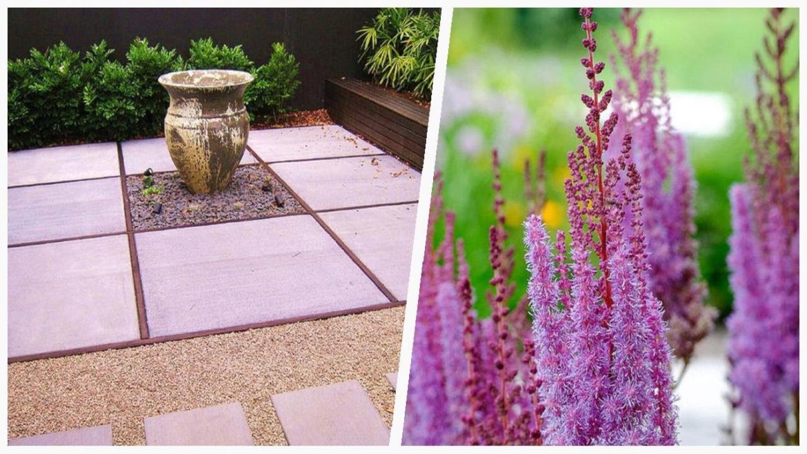 75 Purple Backyard Landscaping Design Ideas You'll Love ⭐️