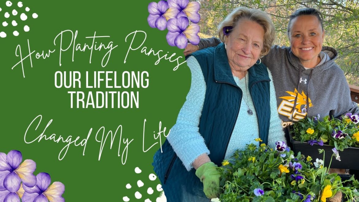 Planting Pansies & Violas In Winter Containers With A Very Special Story