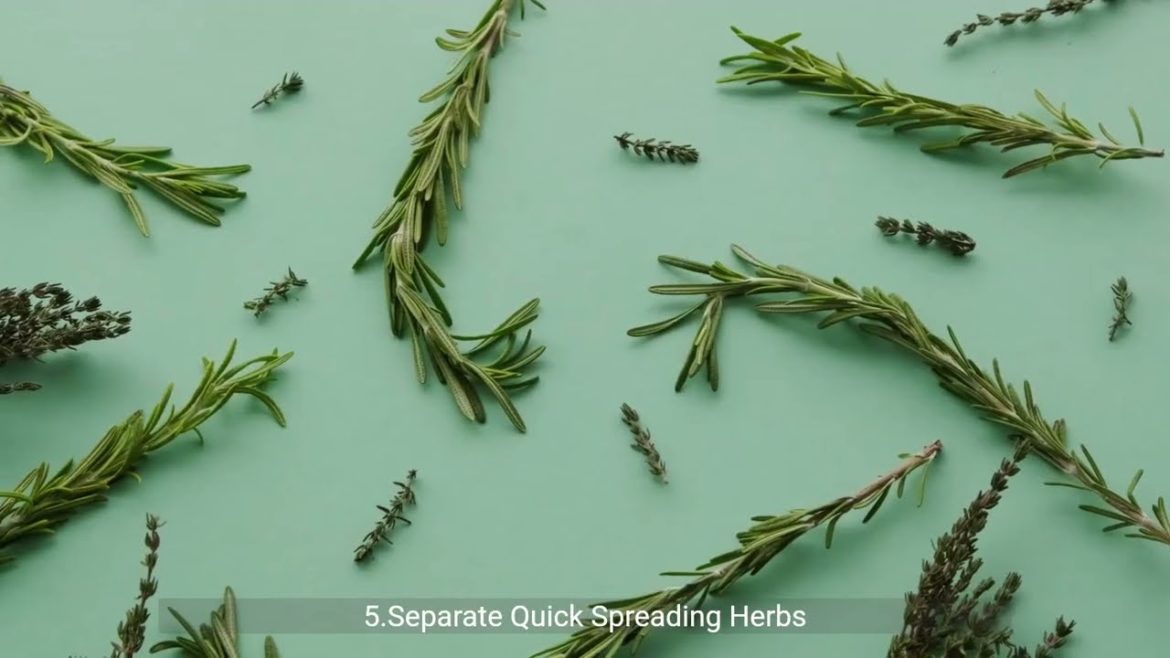Gardening herbal tips