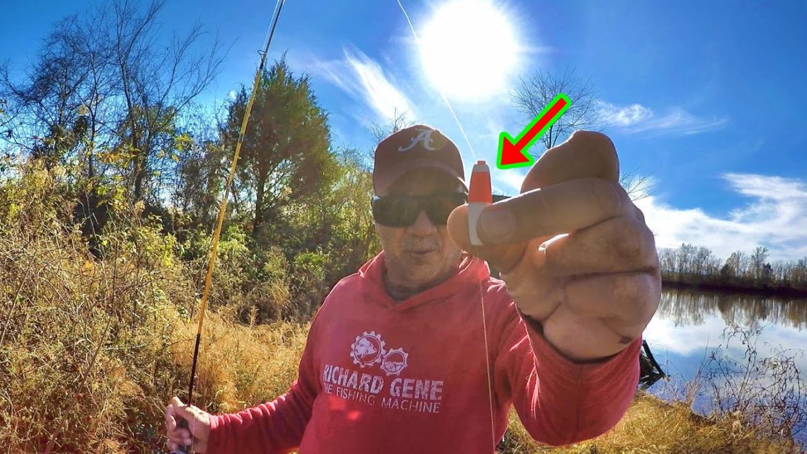 How To Catch Crappie EASY From The Bank With A Jig and Bobber How To Catch Crappie EASY From The Bank With A Jig and Bobber