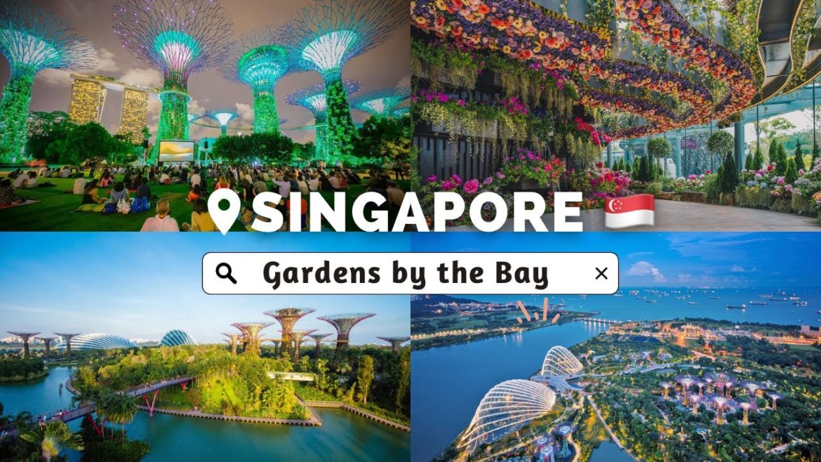 The World’s ‘Best Attraction Experience’ in the heart of Singapore| Gardens by the bay The World’s ‘Best Attraction Experience’ in the heart of Singapore| Gardens by the bay
